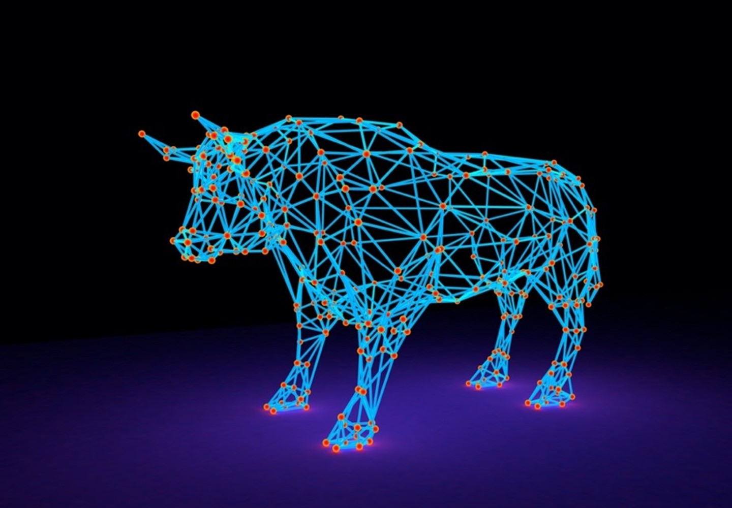 A Bull Named Technology